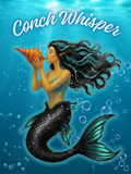 Conch Whisper