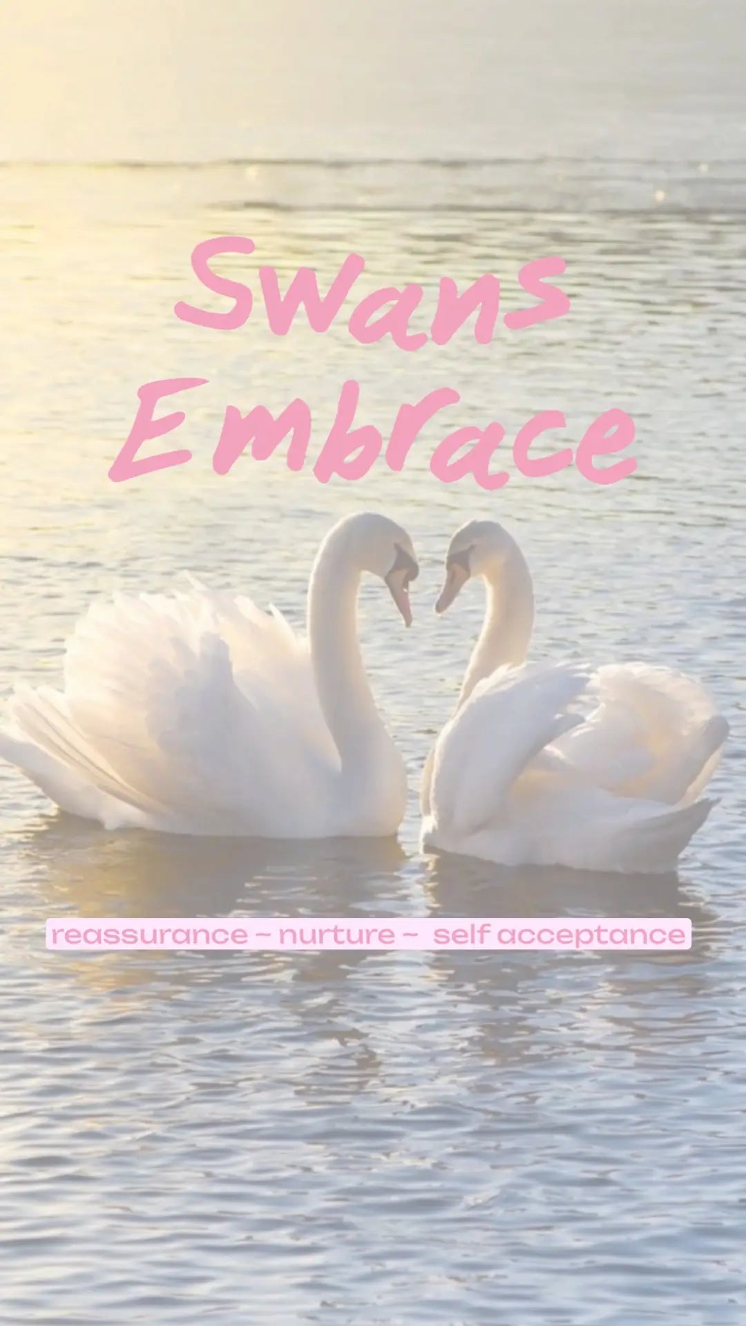 Swan Duo