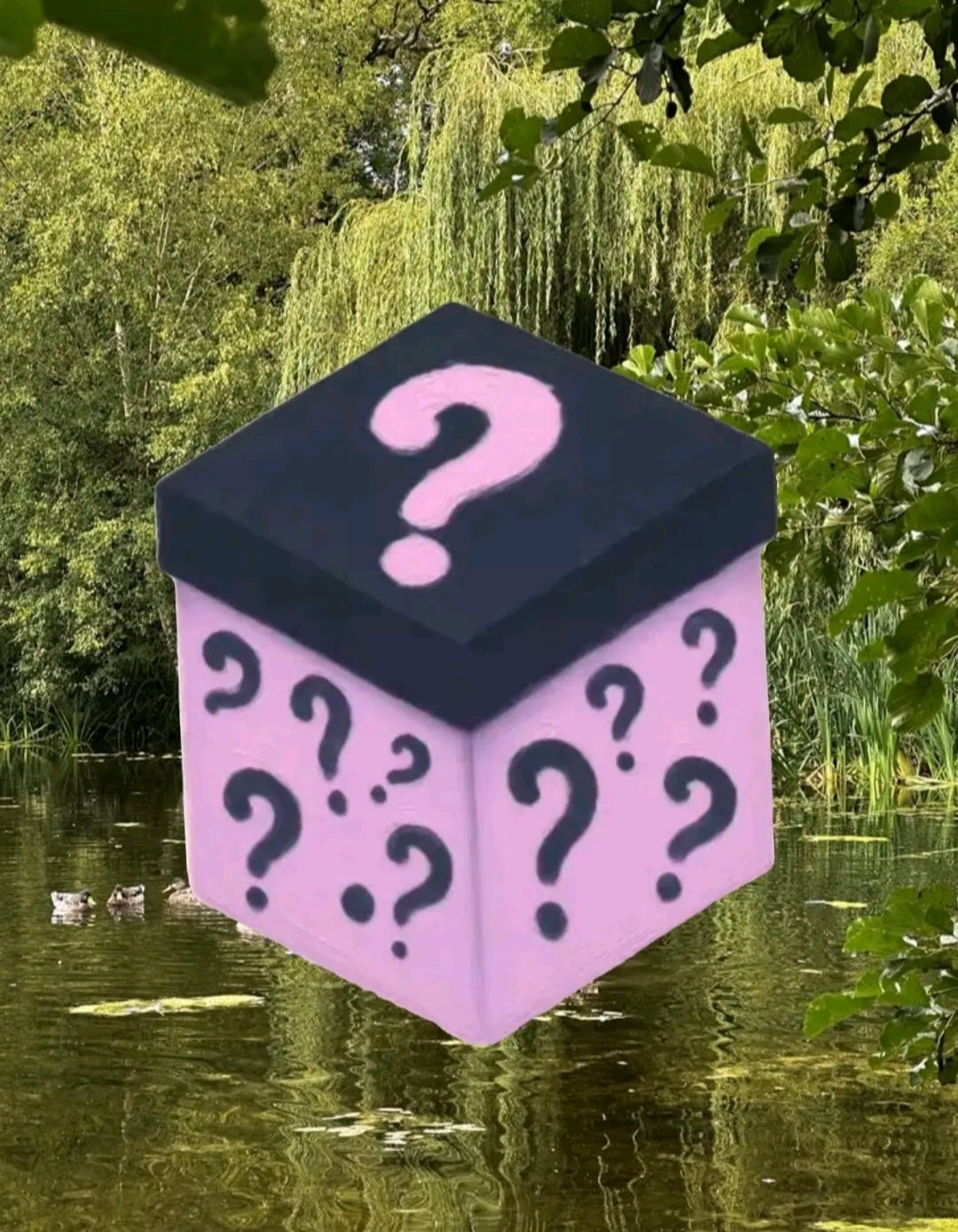 Mystery Bundle Box